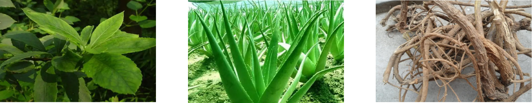 CA88(中国游)唯一官方网站