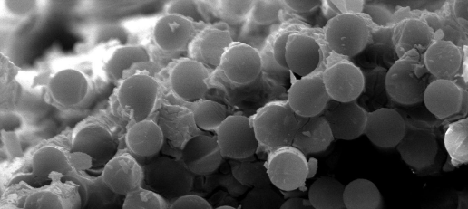 CA88(中国游)唯一官方网站