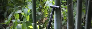 CA88(中国游)唯一官方网站