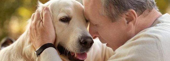 CA88(中国游)唯一官方网站