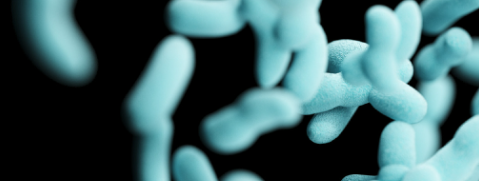 CA88(中国游)唯一官方网站