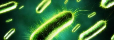 CA88(中国游)唯一官方网站