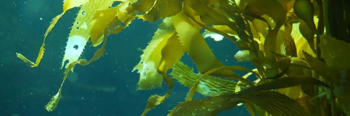 CA88(中国游)唯一官方网站