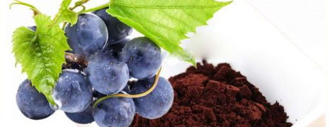 CA88(中国游)唯一官方网站