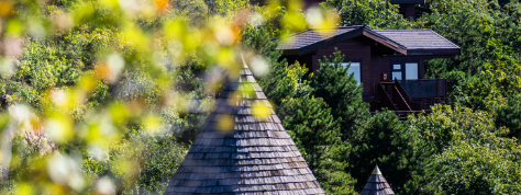 CA88(中国游)唯一官方网站