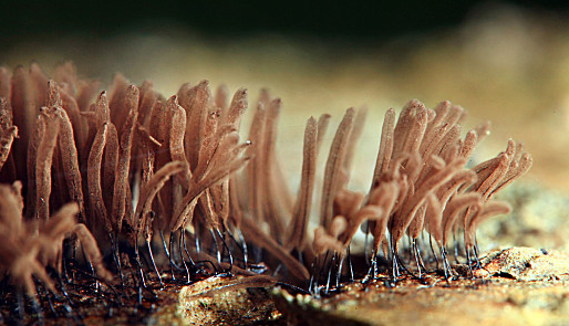 CA88(中国游)唯一官方网站