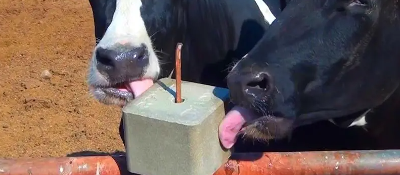 CA88(中国游)唯一官方网站