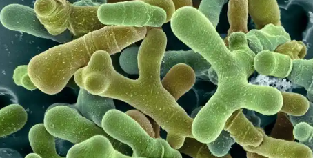 CA88(中国游)唯一官方网站