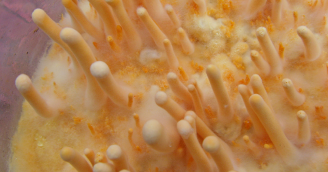 CA88(中国游)唯一官方网站