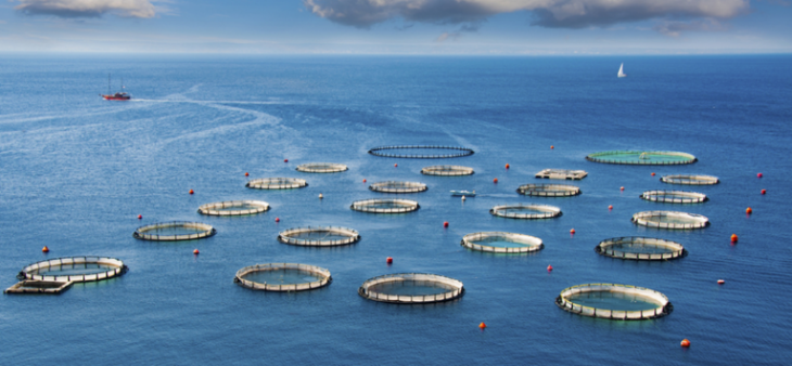 CA88(中国游)唯一官方网站