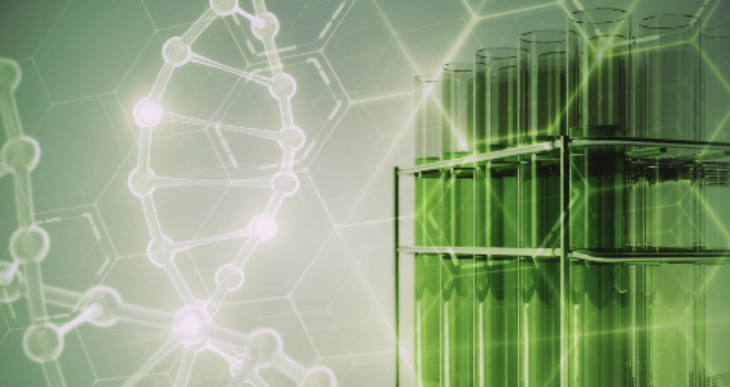 CA88(中国游)唯一官方网站