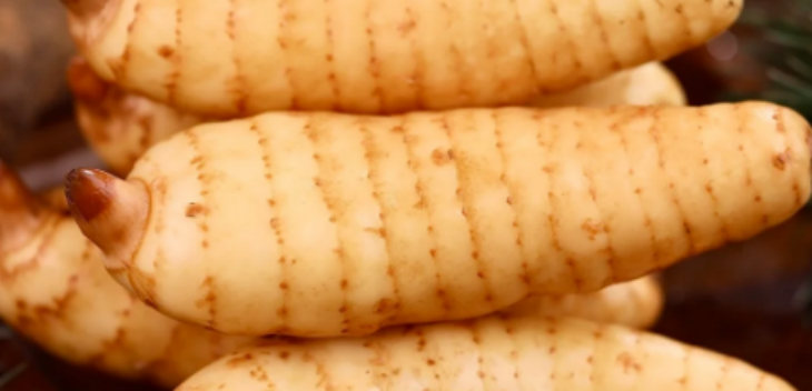 CA88(中国游)唯一官方网站