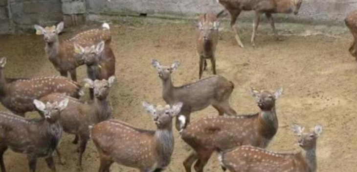 CA88(中国游)唯一官方网站