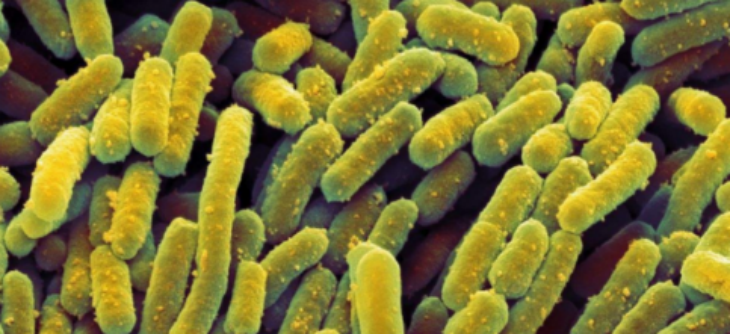 CA88(中国游)唯一官方网站