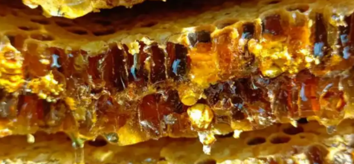 CA88(中国游)唯一官方网站