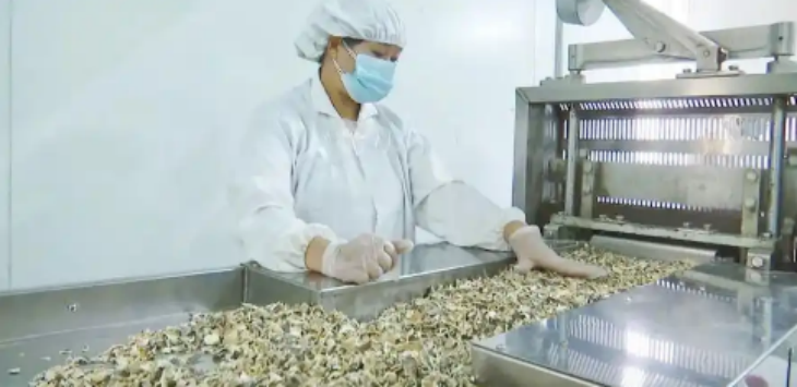 CA88(中国游)唯一官方网站