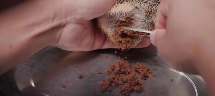 CA88(中国游)唯一官方网站