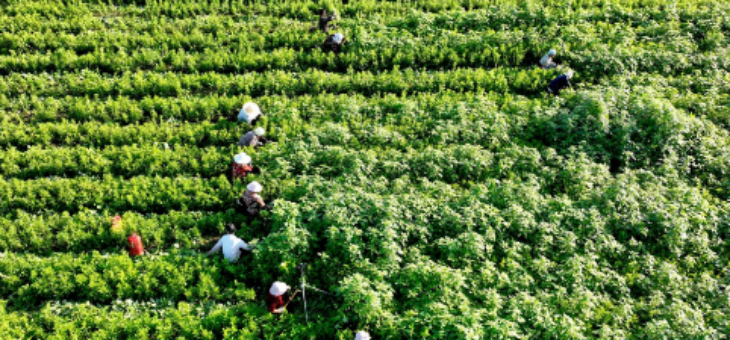 CA88(中国游)唯一官方网站