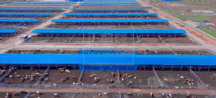 CA88(中国游)唯一官方网站