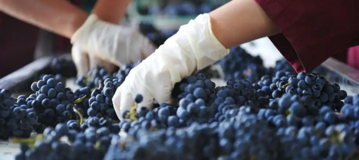 CA88(中国游)唯一官方网站