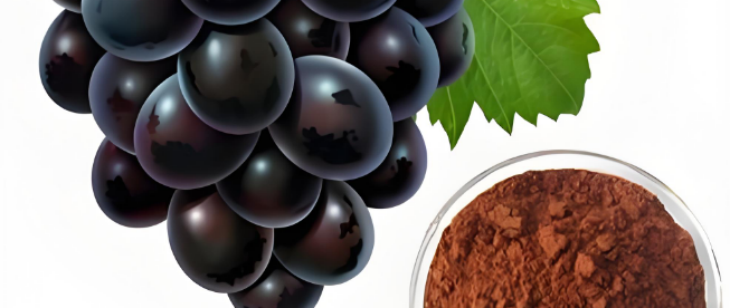 CA88(中国游)唯一官方网站