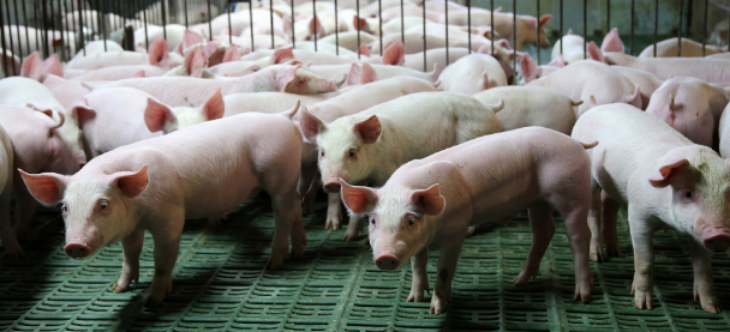 CA88(中国游)唯一官方网站