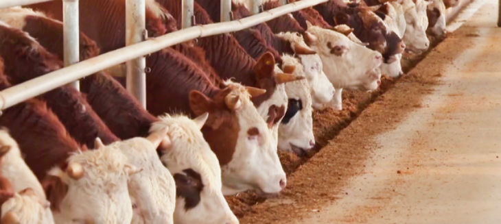 CA88(中国游)唯一官方网站