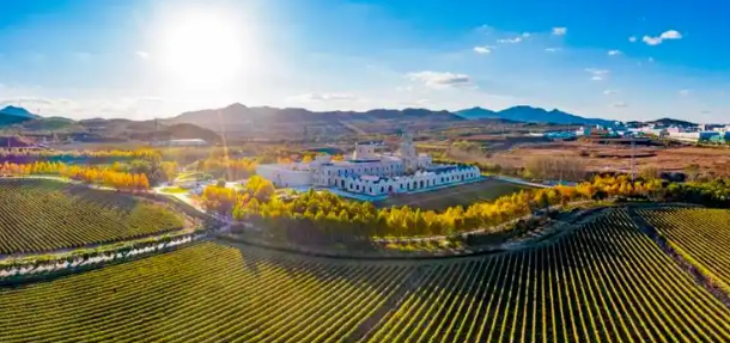 CA88(中国游)唯一官方网站