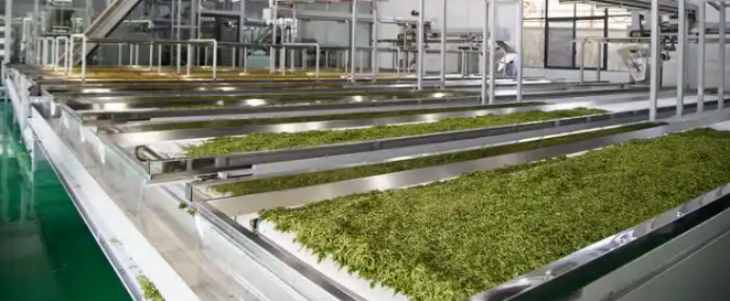 CA88(中国游)唯一官方网站