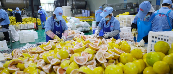 CA88(中国游)唯一官方网站