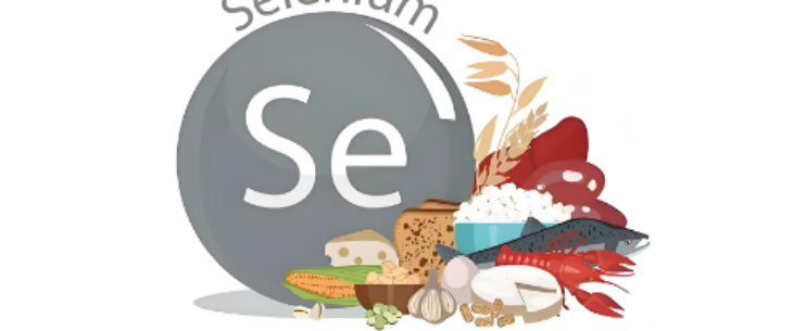 CA88(中国游)唯一官方网站