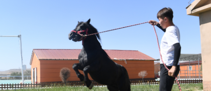 CA88(中国游)唯一官方网站