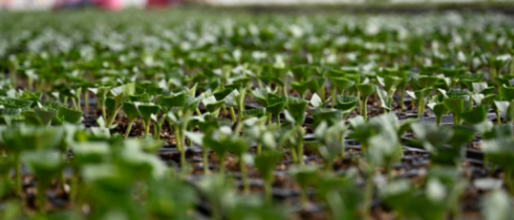 CA88(中国游)唯一官方网站