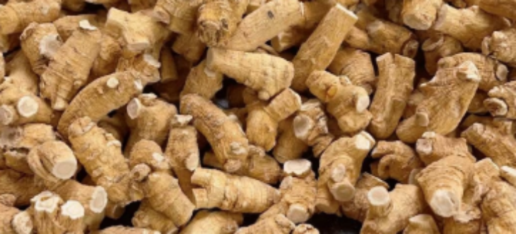 CA88(中国游)唯一官方网站