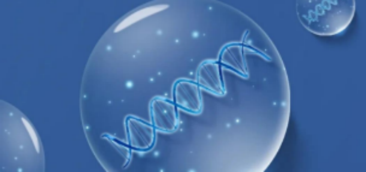 CA88(中国游)唯一官方网站